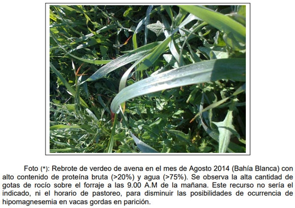 Evaluación de la calidad de agua en la red intergrupal de extensión de los partidos de Bahía Blanca y Cnel. Rosales para el ajuste a sus diversos usos dentro de los establecimientos - Image 16
