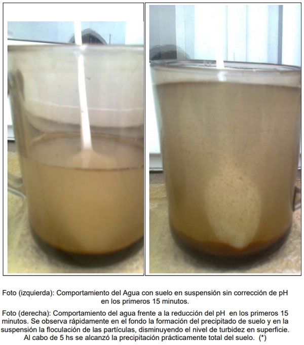 Evaluación de la calidad de agua en la red intergrupal de extensión de los partidos de Bahía Blanca y Cnel. Rosales para el ajuste a sus diversos usos dentro de los establecimientos - Image 5