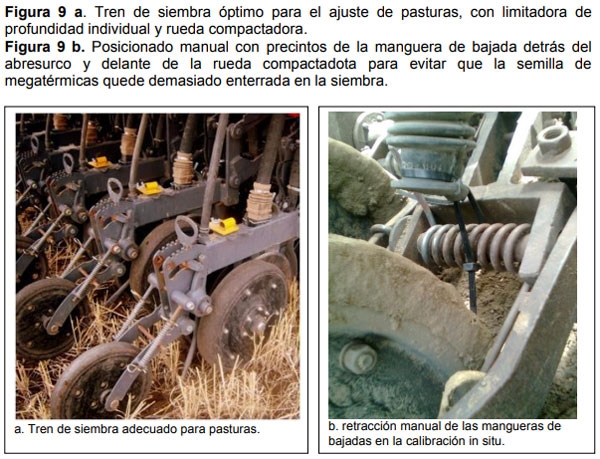 Guia práctica para la implantación de las principales pasturas perennes en zona semiárida (pdos. de bahía blanca y cnel. rosales): Pasto Llorón (Eragrostis curvula) y Agropiro Alargado (Thinopyrum ponticum) - Image 9