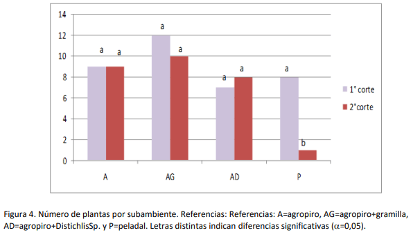 Implantación y producción de Agropiro (Agropirum Ponticum) en suelos bajos con diferentes condiciones de suelo y malezas. Experiencia en campo de productor - Image 4