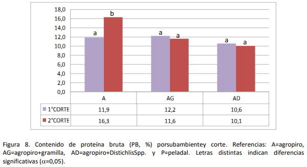 Implantación y producción de Agropiro (Agropirum Ponticum) en suelos bajos con diferentes condiciones de suelo y malezas. Experiencia en campo de productor - Image 9