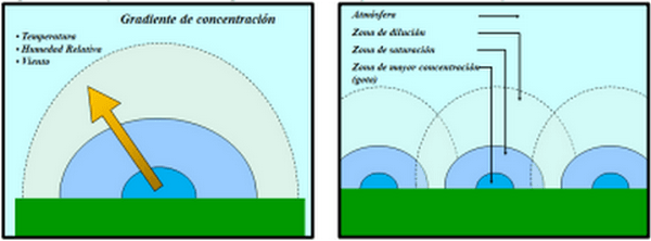 El Delta T como indicador del ambiente meteorológico para pulverizaciones - Image 27