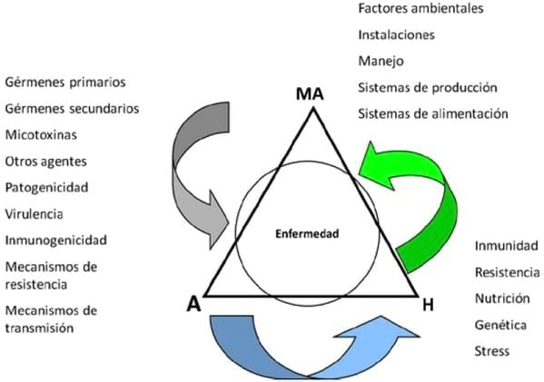 Mesa de Epidemiología - Triada Epidemiológica - Image 3