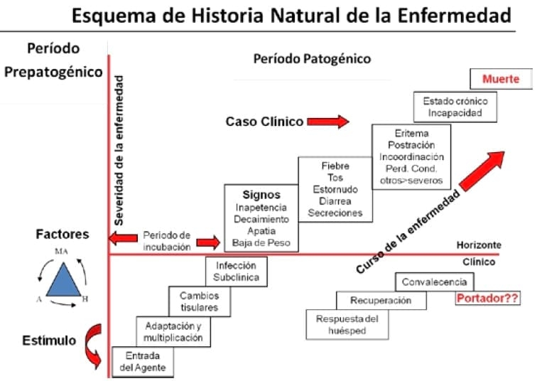 Mesa de Epidemiología - Triada Epidemiológica - Image 1