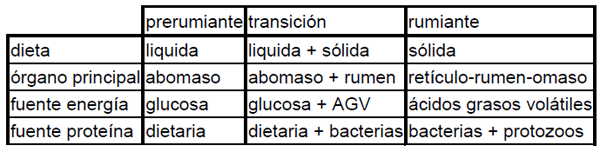  Alimentación en becerras lactantes - Image 9