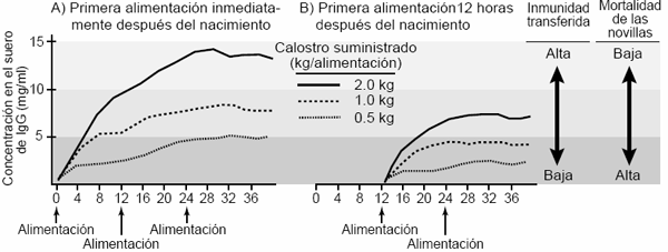  Alimentación en becerras lactantes - Image 2