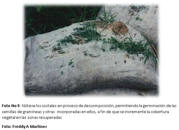 Proyecto de capacitación en alternativas biomecánicas adecuadas para la recuperación de áreas afectadas por erosión en la zona andina de Colombia y América Latina - Image 9