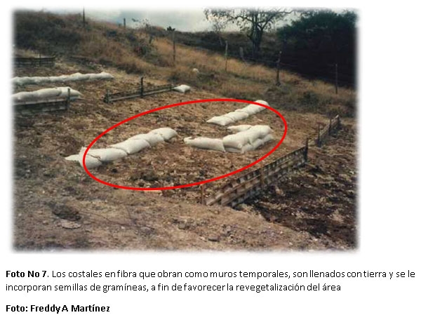 Proyecto de capacitación en alternativas biomecánicas adecuadas para la recuperación de áreas afectadas por erosión en la zona andina de Colombia y América Latina - Image 7