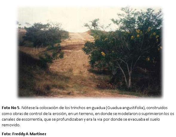 Proyecto de capacitación en alternativas biomecánicas adecuadas para la recuperación de áreas afectadas por erosión en la zona andina de Colombia y América Latina - Image 5