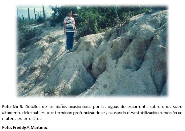 Proyecto de capacitación en alternativas biomecánicas adecuadas para la recuperación de áreas afectadas por erosión en la zona andina de Colombia y América Latina - Image 3