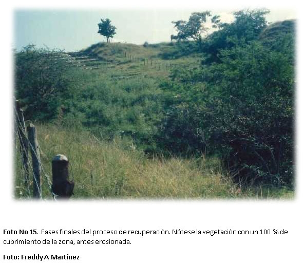 Proyecto de capacitación en alternativas biomecánicas adecuadas para la recuperación de áreas afectadas por erosión en la zona andina de Colombia y América Latina - Image 13