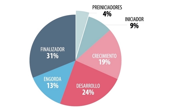 Criterios a considerar para la elección de un programa de alimentación en lechones (Preiniciadores) - Image 5