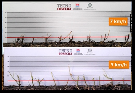 Alerta por altos niveles de pérdidas en la cosecha de la campaña actual, Recomendaciones de cosecha eficiente para minimizar las pérdidas - Image 3