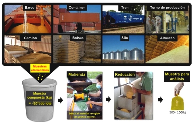 Muestreo para el análisis de micotoxinas - Image 2