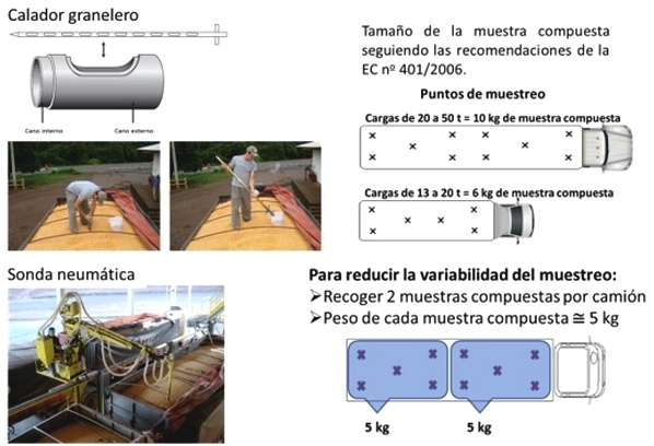 Muestreo para el análisis de micotoxinas - Image 4