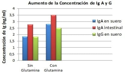 Utilización de aminoácidos condicionalmente esenciales en dietas iniciales de aves: Glutamina y ácido glutámico - Image 3