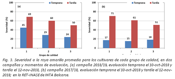 Evaluación de la severidad a la roya amarilla en la RET-INASE de INTA Balcarce durante la campaña triguera 2018/19 - Image 4