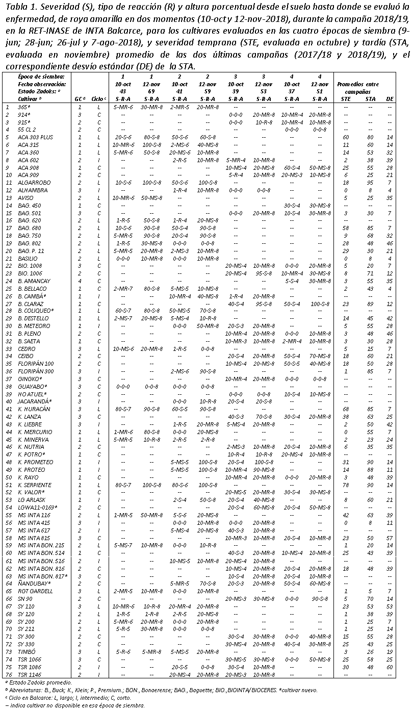 Evaluación de la severidad a la roya amarilla en la RET-INASE de INTA Balcarce durante la campaña triguera 2018/19 - Image 6