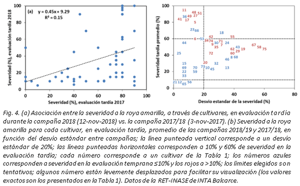 Evaluación de la severidad a la roya amarilla en la RET-INASE de INTA Balcarce durante la campaña triguera 2018/19 - Image 5