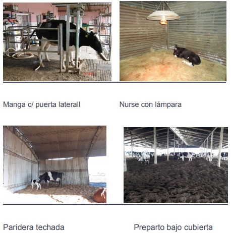 Comienzan las pariciones: empecemos con el pie derecho - Image 1