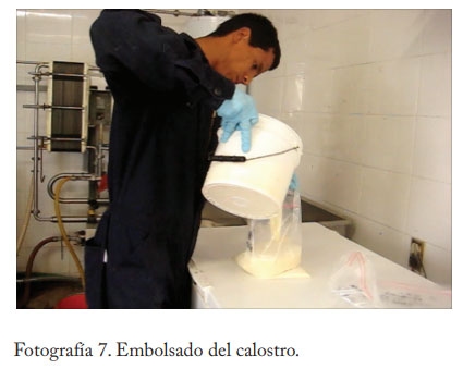Pasteurización del calostro - Image 8