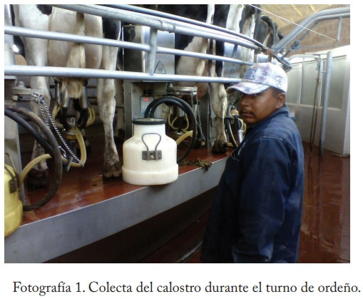 Pasteurización del calostro - Image 2