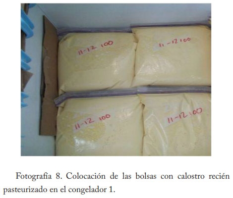 Pasteurización del calostro - Image 9
