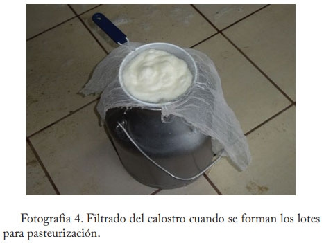 Pasteurización del calostro - Image 5