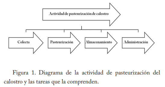 Pasteurización del calostro - Image 1