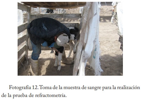 Pasteurización del calostro - Image 16