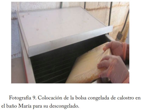 Pasteurización del calostro - Image 12
