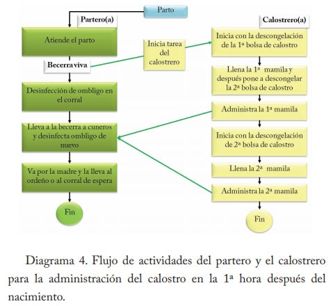 Pasteurización del calostro - Image 14