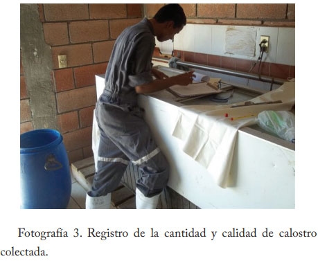 Pasteurización del calostro - Image 4