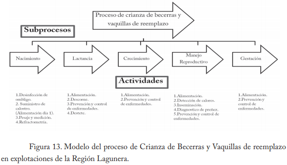Empleo del enfoque de procesos en establos lecheros de la región lagunera - Image 15