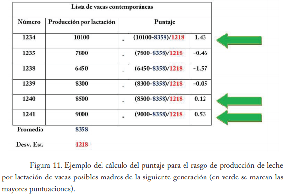Empleo del enfoque de procesos en establos lecheros de la región lagunera - Image 13