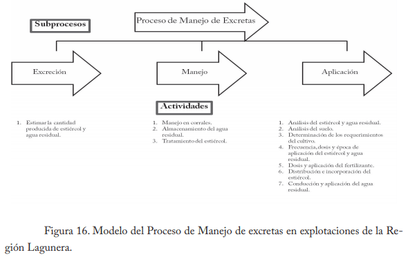 Empleo del enfoque de procesos en establos lecheros de la región lagunera - Image 18