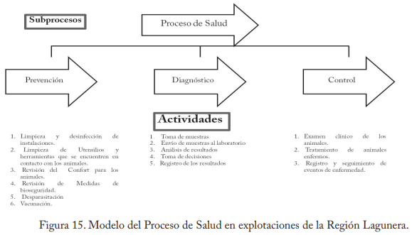 Empleo del enfoque de procesos en establos lecheros de la región lagunera - Image 17