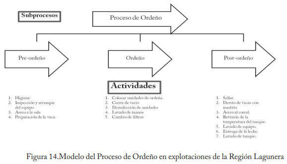 Empleo del enfoque de procesos en establos lecheros de la región lagunera - Image 16