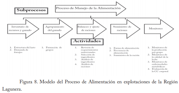 Empleo del enfoque de procesos en establos lecheros de la región lagunera - Image 11