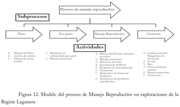 Empleo del enfoque de procesos en establos lecheros de la región lagunera - Image 14