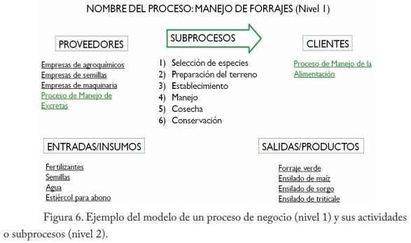 Empleo del enfoque de procesos en establos lecheros de la región lagunera - Image 7