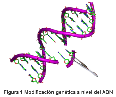 Cerdos transgénicos: Beneficio para la producción, salud animal y humana - Image 1