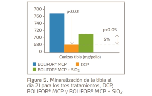 La importancia práctica del sistema de evaluación de la utilización del fósforo - Image 4