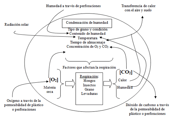 Monitoreo de CO2 en bolsas plásticas herméticas - Image 1