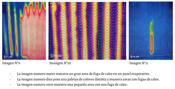 Uso de Imágenes Termográficas en Producción Porcina. Parte 1. - Image 8