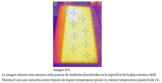 Uso de Imágenes Termográficas en Producción Porcina. Parte 1. - Image 6