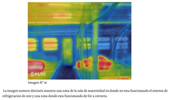Uso de Imágenes Termográficas en Producción Porcina. Parte 1. - Image 11
