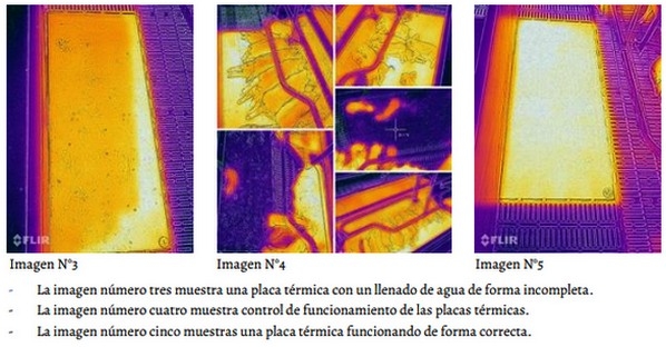 Uso de Imágenes Termográficas en Producción Porcina. Parte 1. - Image 5