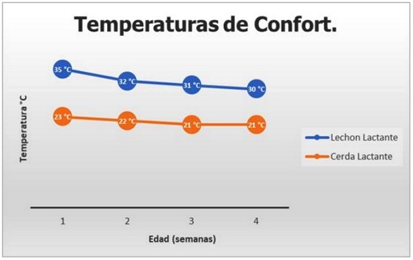 Uso de Imágenes Termográficas en Producción Porcina. Parte 1. - Image 4