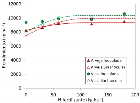 Efecto residual en maíz de la inoculación en arveja y vicia - Image 3